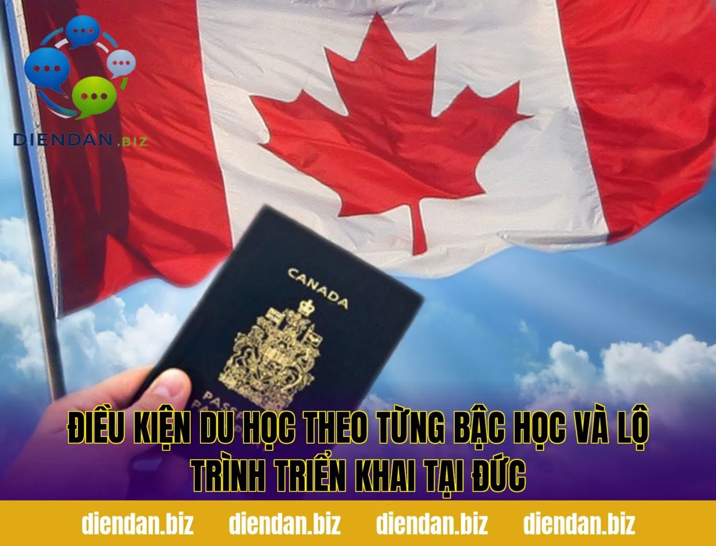 Điều kiện du học theo từng bậc học và lộ trình triển khai tại Đức