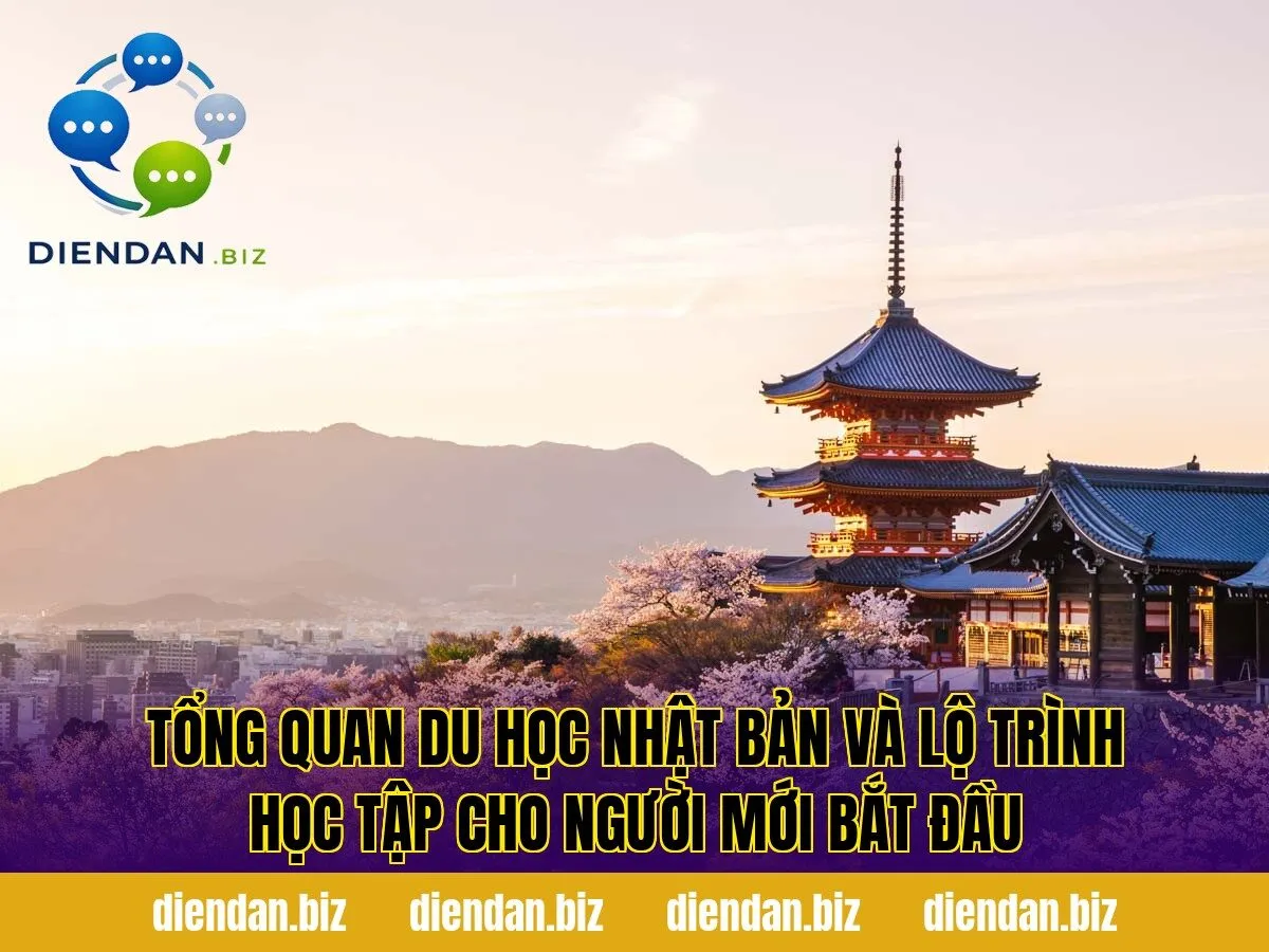 Tổng quan du học Nhật Bản và lộ trình học tập cho người mới bắt đầu