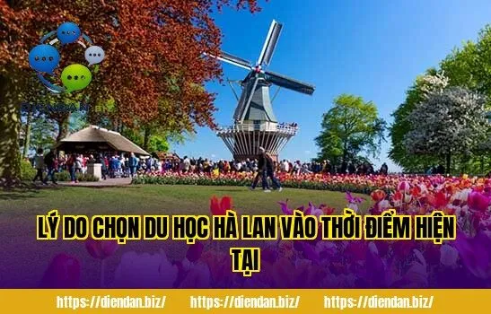 Lý do chọn du học Hà Lan vào thời điểm hiện tại