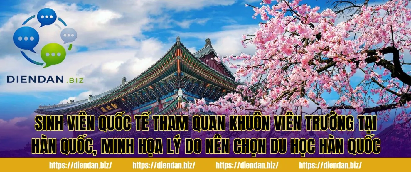 Sinh viên quốc tế tham quan khuôn viên trường tại Hàn Quốc, minh họa lý do nên chọn du học Hàn Quốc