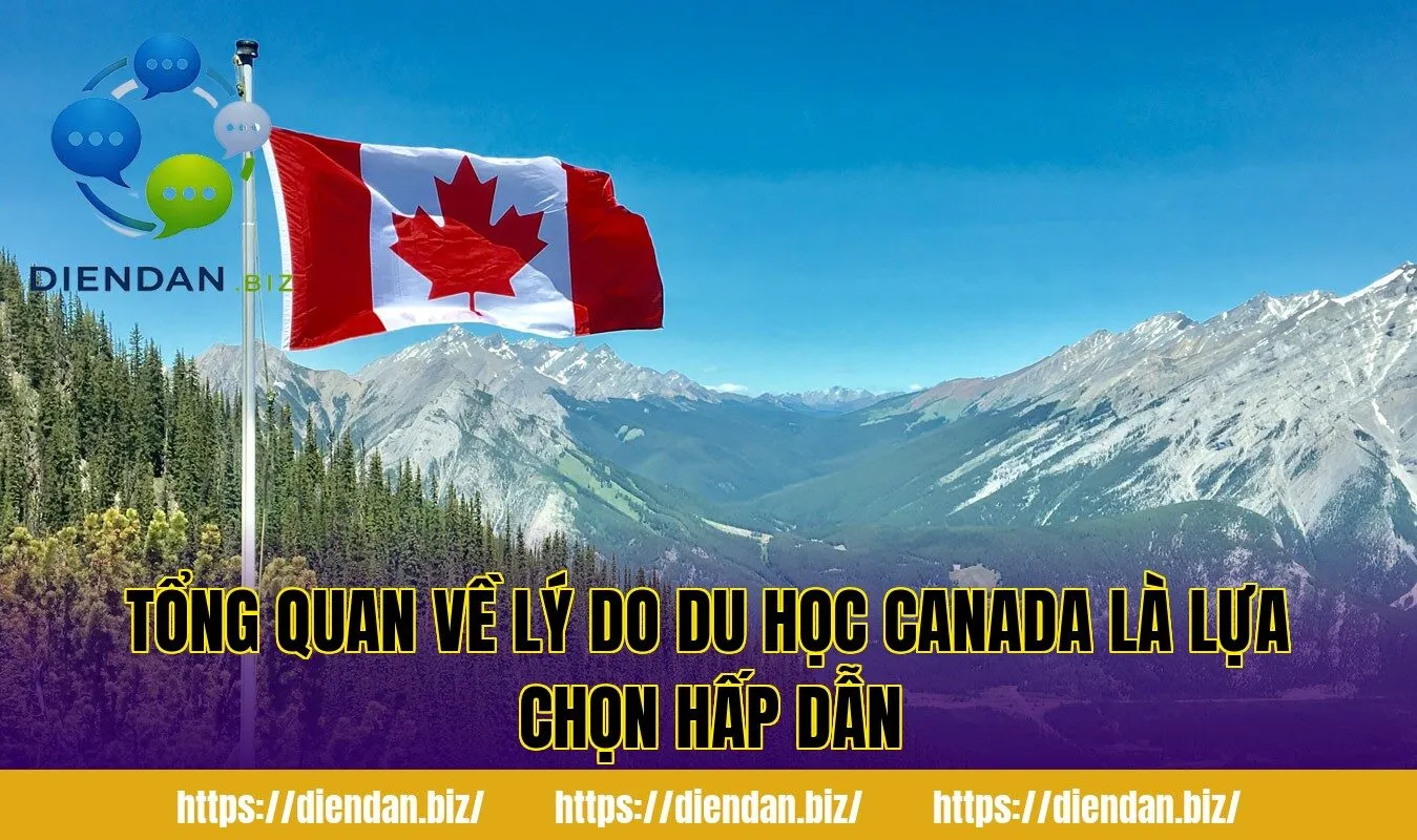 Tổng quan về lý do du học Canada là lựa chọn hấp dẫn