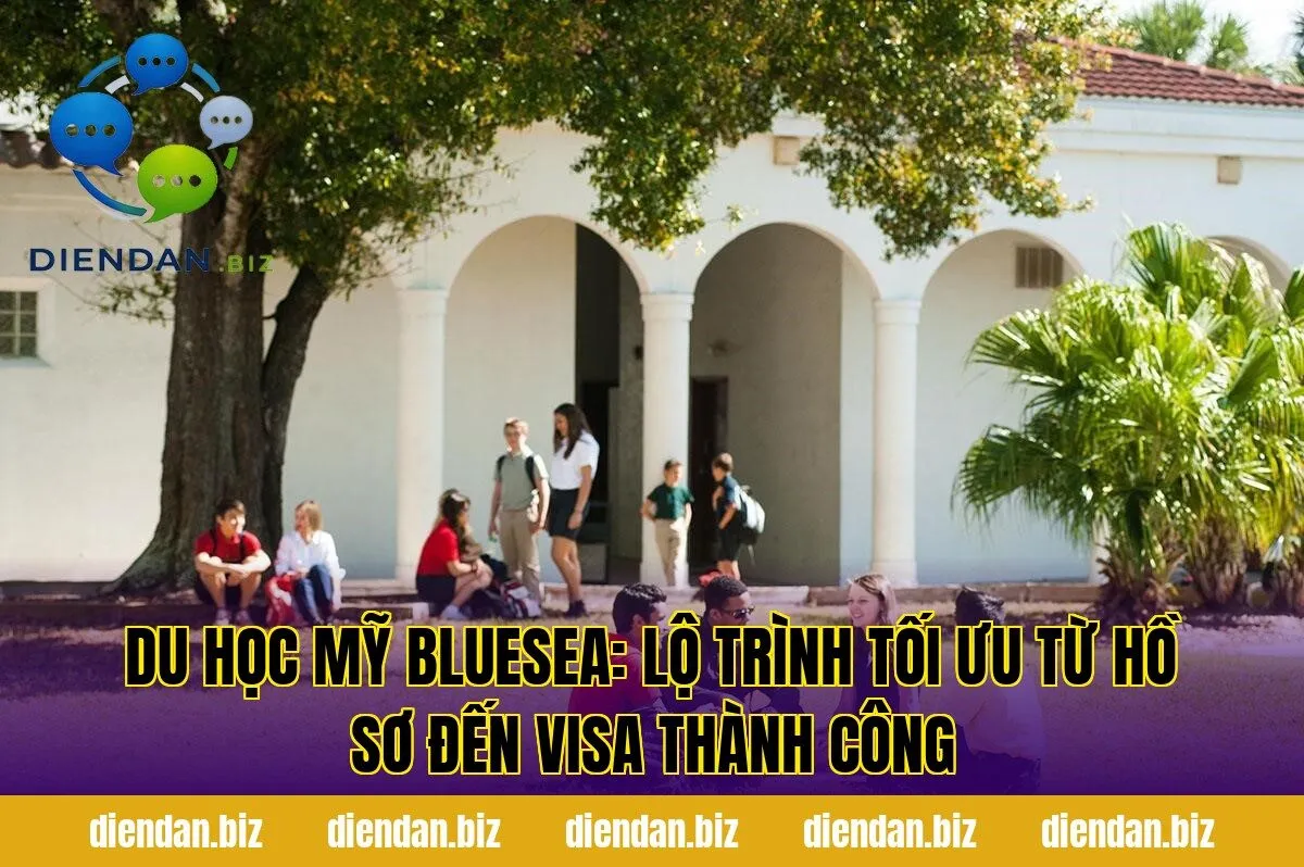 Du học Mỹ Bluesea: lộ trình tối ưu từ hồ sơ đến visa thành công